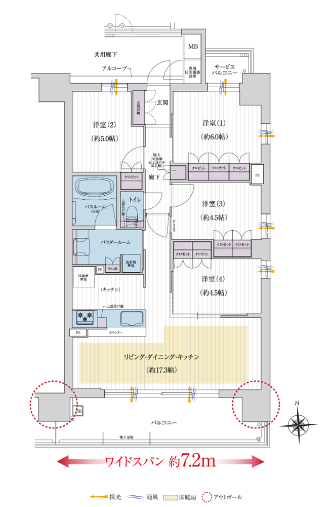 C1 (203漼)