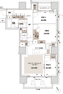 D (1602漼)