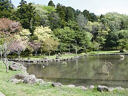 大百池公園