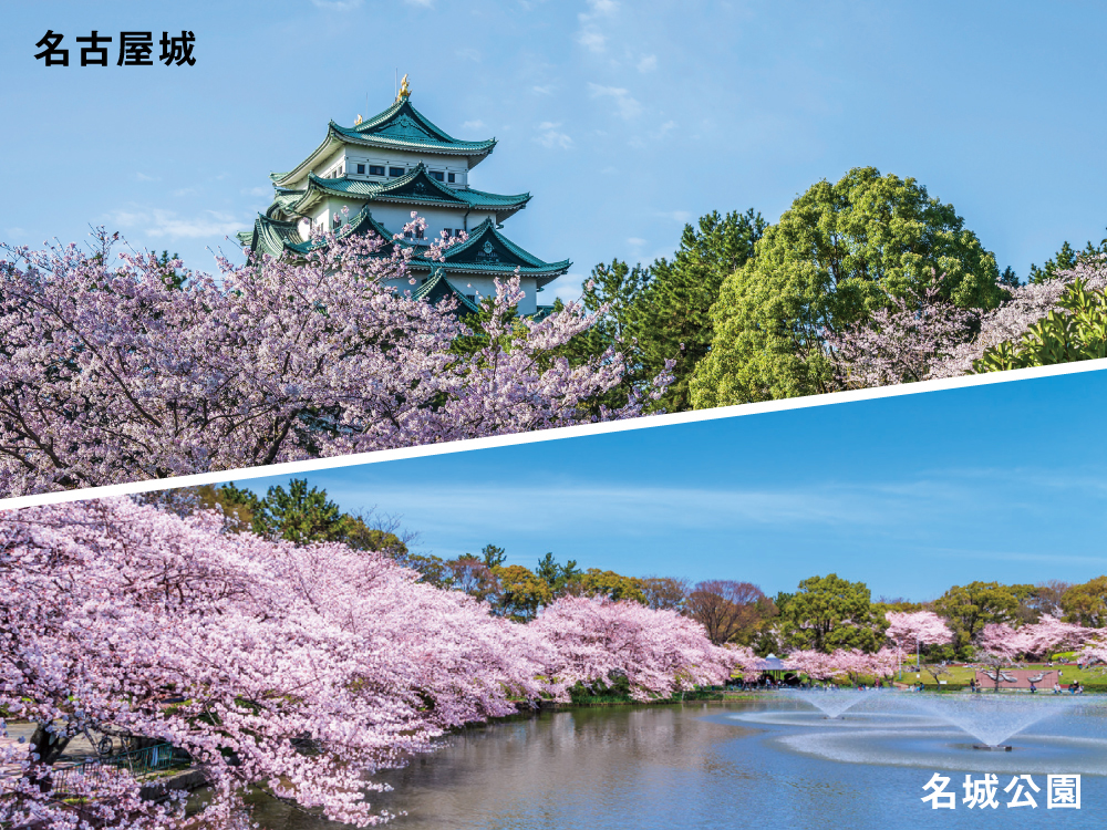 レーベン名古屋 MARK EAST 名古屋城へ徒歩8分、名城公園へ徒歩12分。都心で四季の彩りが愉しめるロケーション