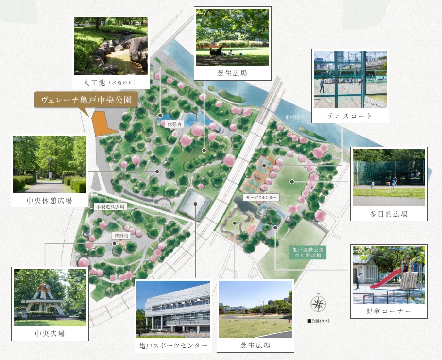 ヴェレーナ亀戸中央公園 広大なる「亀戸中央公園」を、庭にする。