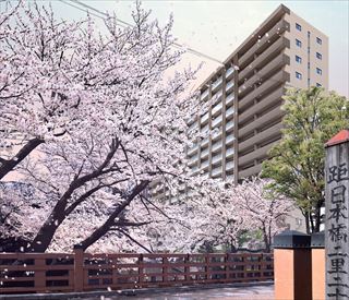 ホームズ】イニシア板橋 桜レジデンスの建物情報 | 東京都板橋区本町29