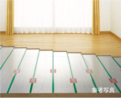 内観画像