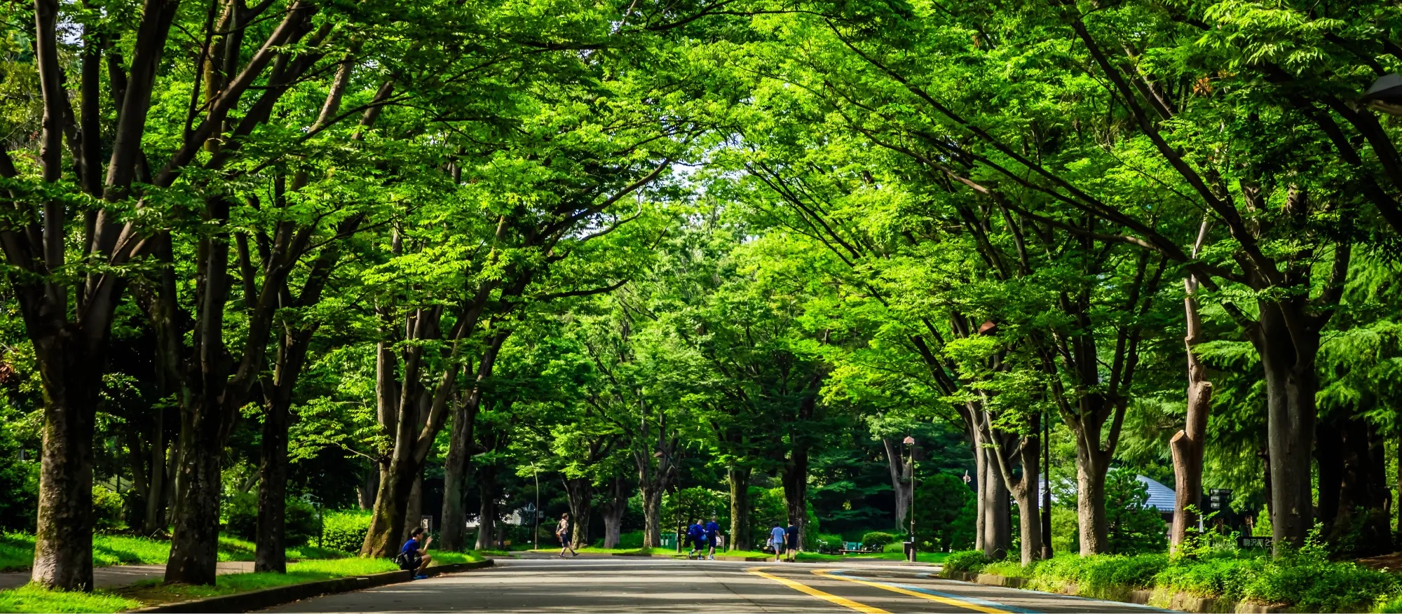 ジオ深沢七丁目 自然と利便性が響き合う住環境