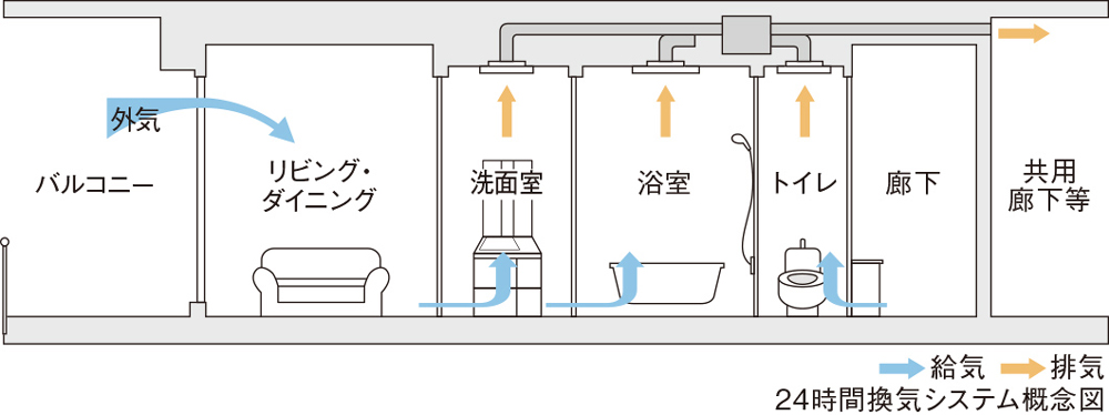 内観画像