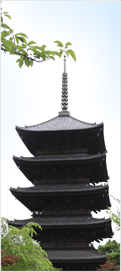 ホームズ エルシア京都駅 東寺北レジデンスの建物情報 京都府京都市南区大宮通八条下る九条町621番地 ホームズ エルシア京都駅 東寺北レジデンスの建物情報 京都府京都市南区大宮通八条下る九条町621番地