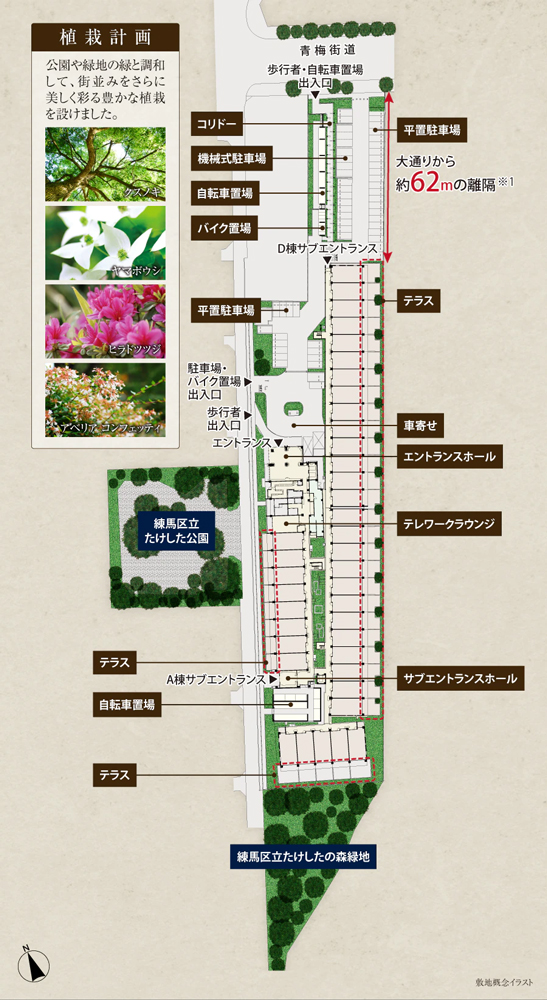 内観画像