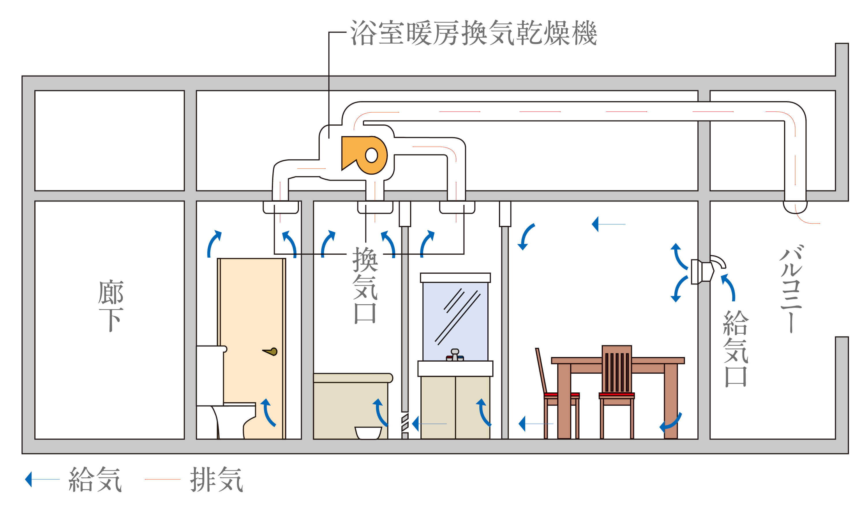 内観画像
