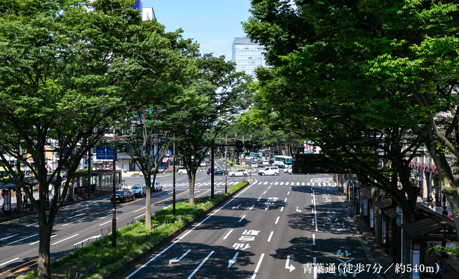 内観画像