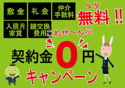 ピタットハウス徳島店　株式会社ケーズオフィス