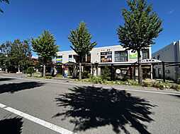 株式会社パイン住幸　本店