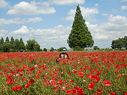 親和不動産株式会社