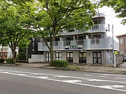 ちんたい　井上商事株式会社