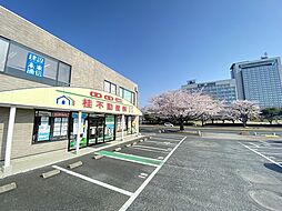 桂不動産株式会社　水戸支店