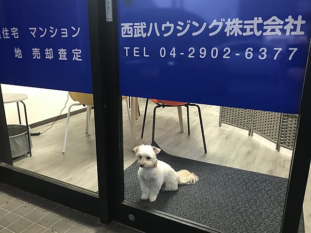 店内の様子