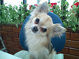 不動産センター株式会社