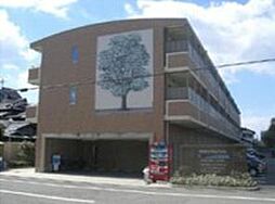 ハイコート株式会社