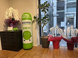 株式会社SILVER−BACK　不動産LABO本町店