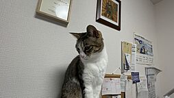 株式会社To　Next