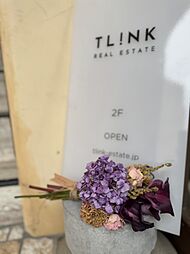 TLINK