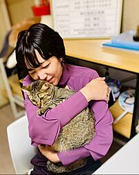 株式会社三毛猫