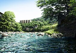 アデニウム箱根