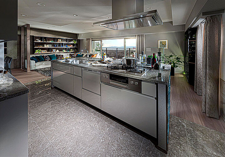 レーベン長岡古正寺NACREOUS 専有部