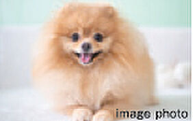 レーベン長町 THE GATE 設備