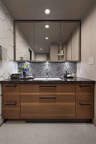 レーベン松山市駅ALBIO TOWER 専有部