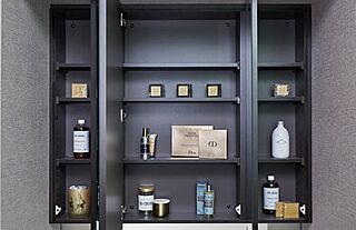 レーベン富山環水公園PEAK TERRACE 三面鏡裏収納