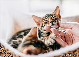ウィザースレジデンス秋田ザ・タワー 設備