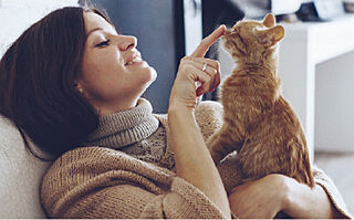 レーベン大阪上本町プレイズ ペット可マンション