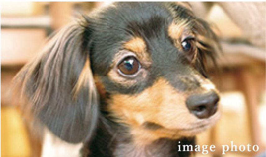 ザ・サーパス前橋駅前 設備