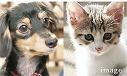 サーパス熊谷銀座レジデンス 設備