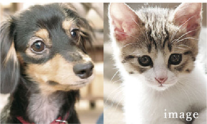 サーパス熊谷銀座レジデンス 設備