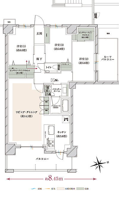 タイプ:【先着順】CLr