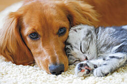 ヴェレーナ横浜岩井町ヒルズ 設備