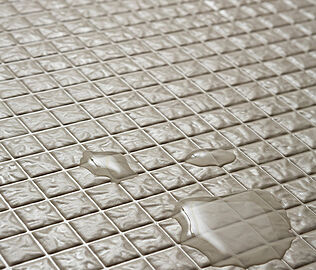 リビオ川崎大師ステーションサイト カラリ床