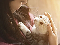 ルジェンテ神楽坂 設備