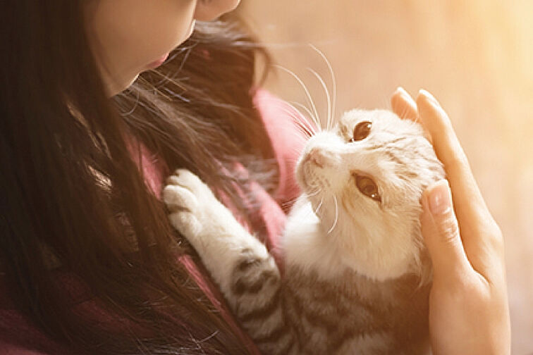 ルジェンテ横浜桜木町 設備