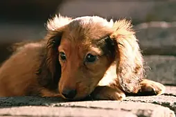 Theフローレンス翠 設備