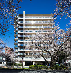 ライフレビュー相模原
