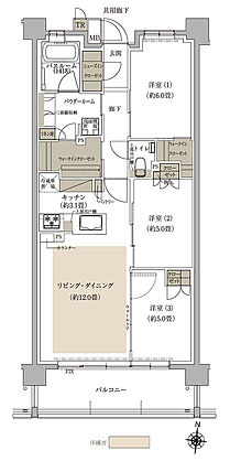 プレミスト中央林間 間取り B