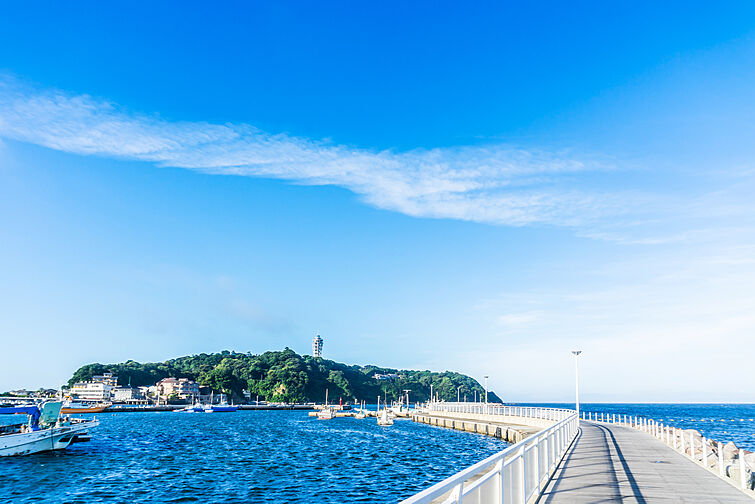 クレストフォルム湘南鵠沼 その他