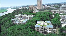 サンウッド市川真間グリーンヒルズ