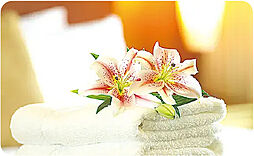 サンクレイドル津田沼III 設備