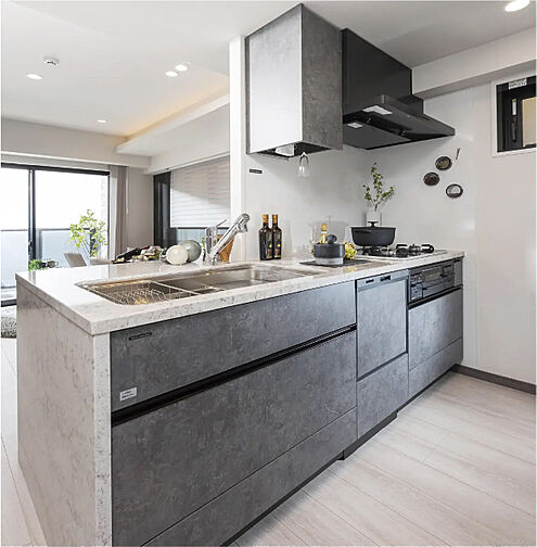 サンクレイドル南鳩ヶ谷ステーションウィズ 専有部