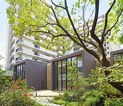 グランドメゾン杉並シーズン