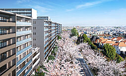 多摩川シーズンズ 共用部