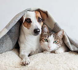 ワコーレ六甲高羽公園 設備